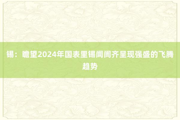 锡：瞻望2024年国表里锡阛阓齐呈现强盛的飞腾趋势