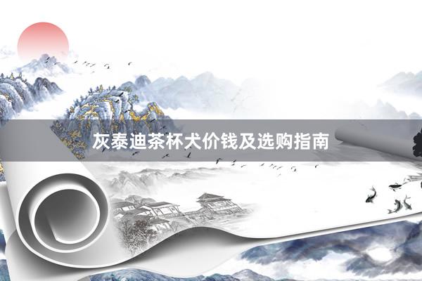 灰泰迪茶杯犬价钱及选购指南