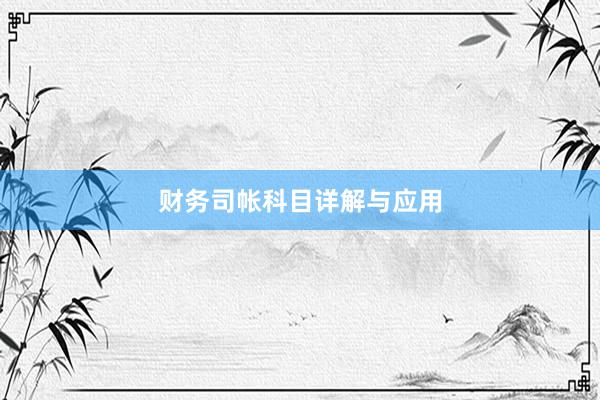 财务司帐科目详解与应用